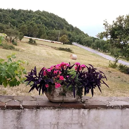 Agriturismo Persichitti-2